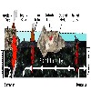 image of Figure 25